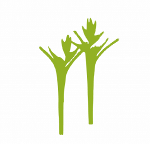 Favicon Floristería Esther
